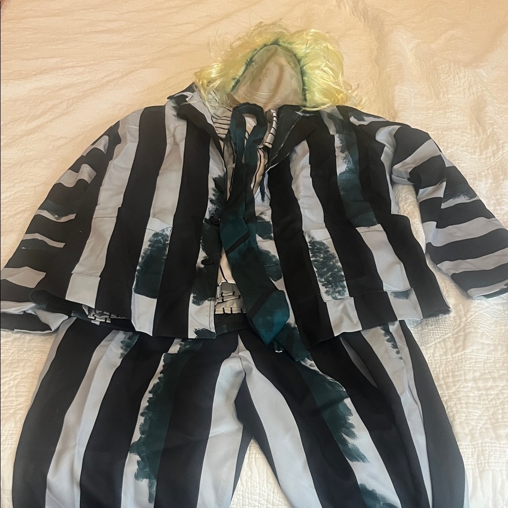 Beetle Juice Large Striped Black and White Costume Set